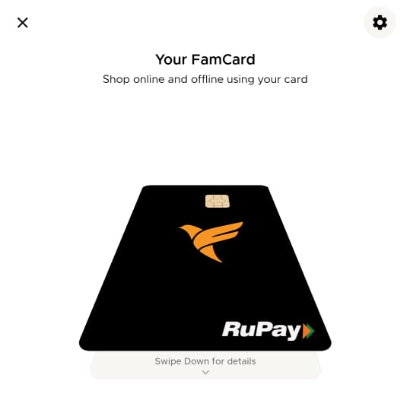 Curious about FamCard?💳 Here’s everything to know: FAQs by teens on FamCard